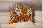 unknow artist Tigers 022 oil painting picture wholesale